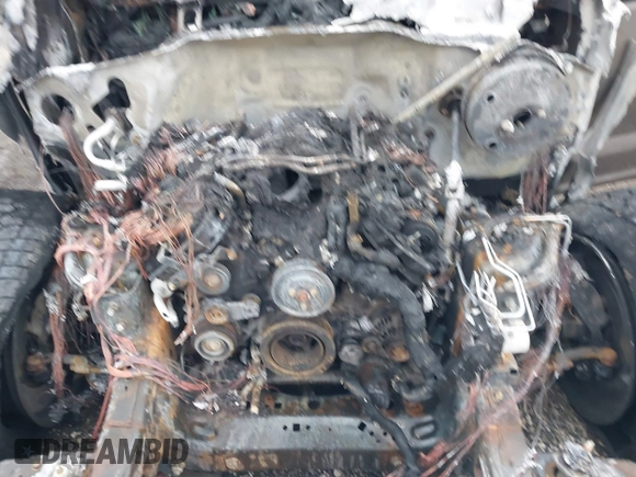 2019 Ford F-150 XL with VIN 1FTEW1E57KFB27309, listed as a IAAI auction lot 41847423 with Not provided miles and . Bid and sale history available at DreamBid. Image 10.