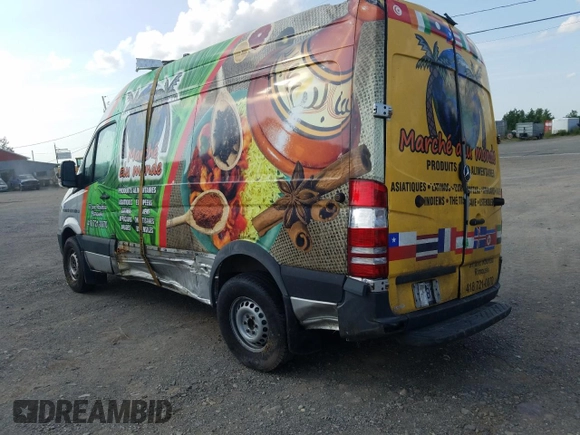 2014 Mercedes-Benz Sprinter with VIN WD3BE7DC8E5837543, listed as a Copart auction lot 63895324 with Not Provided miles and Salvage Title. Bid and sale history available at DreamBid. Image 2.