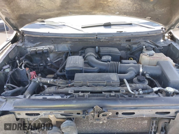 2010 Ford F-150 XL with VIN 1FTFX1EV5AFA68356, listed as a IAAI auction lot 42267628 with 253,141 mi miles and . Bid and sale history available at DreamBid. Image 10.