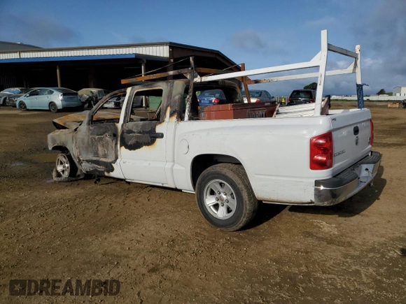 2008 Dodge Dakota SXT with VIN 1D7HE38K68S573308, listed as a Copart auction lot 51012575 with Not Provided miles and Non Repairable. Bid and sale history available at DreamBid. Image 2.