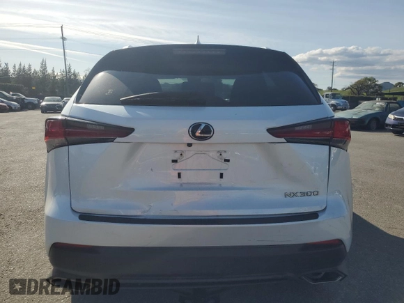 2018 Lexus NX with VIN JTJYARBZ4J2096704, listed as a Copart auction lot 48829775 with 74,652 mi miles and Salvage Title. Bid and sale history available at carsss.com. Image 6.