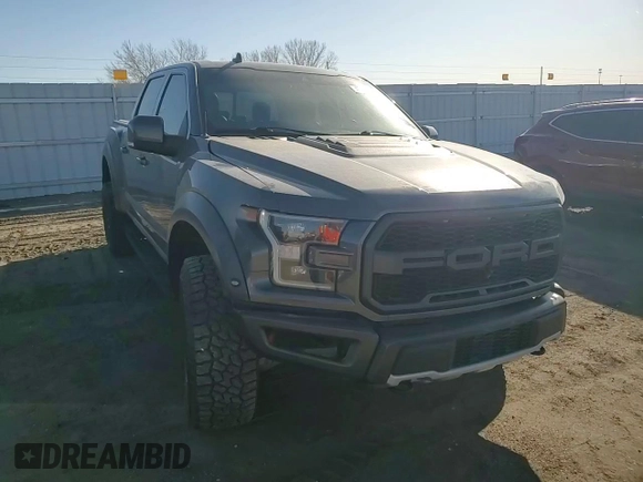 2020 Ford F-150 Raptor with VIN 1FTFW1RG3LFA16497, listed as a Copart auction lot 48388875 with Not Provided miles and Salvage Title. Bid and sale history available at carsss.com. Image 11.