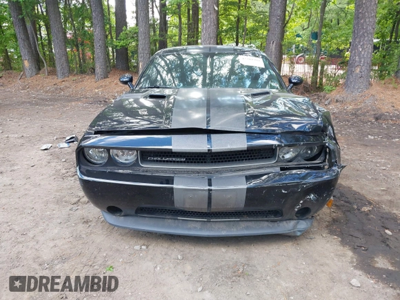 2013 Dodge Challenger SXT z VIN 2C3CDYAG2DH632743, wystawiony jako IAAI lot #42201981 z przebiegiem 154 018 mil mil oraz . Historia ofert i sprzedaży dostępna na DreamBid. Obrazek 13.