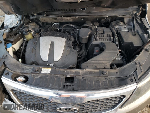 2013 Kia Sorento LX with VIN 5XYKTDA24DG368043, listed as a Copart auction lot 42010575 with 160,825 mi miles and Salvage Title. Bid and sale history available at carsss.com. Image 14.