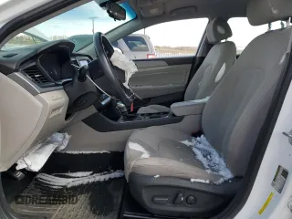 2018 Hyundai Sonata Sport with VIN 5NPE34AF4JH639204, listed as a Copart auction lot 49734115 with 80,827 mi miles and Salvage Title. Bid and sale history available at carsss.com. Image 7.