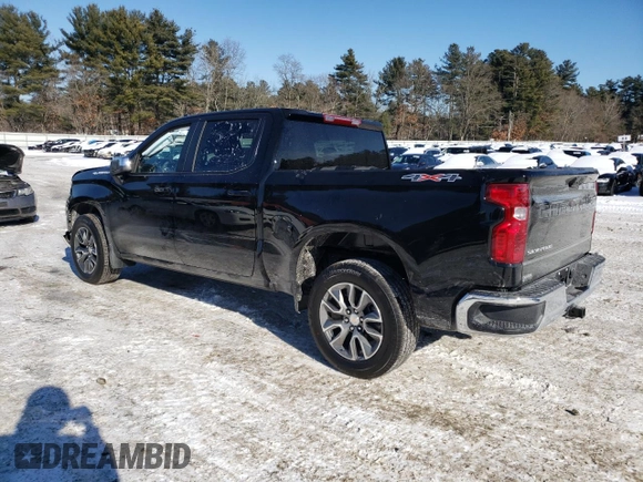 2024 Chevrolet Silverado 1500 LT with VIN 3GCPDKEK8RG450237, listed as a Copart auction lot 42114045 with 111 mi miles and Salvage Title. Bid and sale history available at carsss.com. Image 2.