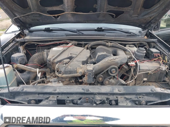 2013 Toyota Tacoma with VIN 5TFLU4EN9DX073331, listed as a IAAI auction lot 42123968 with 145,879 mi miles and . Bid and sale history available at DreamBid. Image 10.