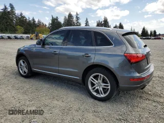 2016 Audi Q5 Premium with VIN WA1C2AFP2GA065903, listed as a Copart auction lot 55663705 with 114,519 mi miles and Salvage title. Bid and sale history available at DreamBid. Image 2.