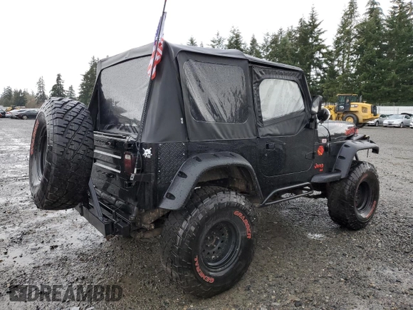 1994 Jeep Wrangler with VIN 1J4FY29SXRP426229, listed as a Copart auction lot 81769314 with 200,005 mi miles and Salvage Title. Bid and sale history available at carsss.com. Image 3.