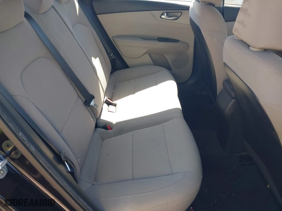 2019 Kia Forte LXS with VIN 3KPF24AD4KE023191, listed as a IAAI auction lot 41776162 with 57,316 mi miles. Bid and sale history available at carsss.com. Image 8.