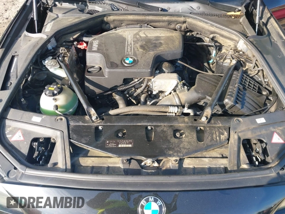 2015 BMW 5 Series 528i with VIN WBA5A5C56FD519138, listed as a IAAI auction lot 41989497 with 214,326 mi miles and . Bid and sale history available at DreamBid. Image 10.