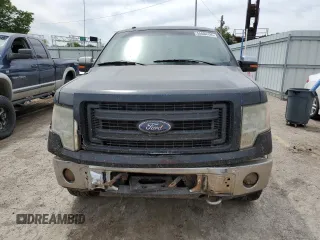 2009 Ford F-150 XL with VIN 1FTPW14V69FB18458, listed as a Copart auction lot 55684195 with 338,034 mi miles and Salvage title. Bid and sale history available at DreamBid. Image 5.