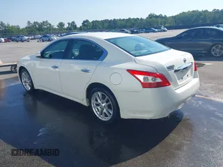 2011 Nissan Maxima SV with VIN 1N4AA5AP4BC854958, listed as a IAAI auction lot 42466528 with 229,955 mi miles and . Bid and sale history available at DreamBid. Image 3.