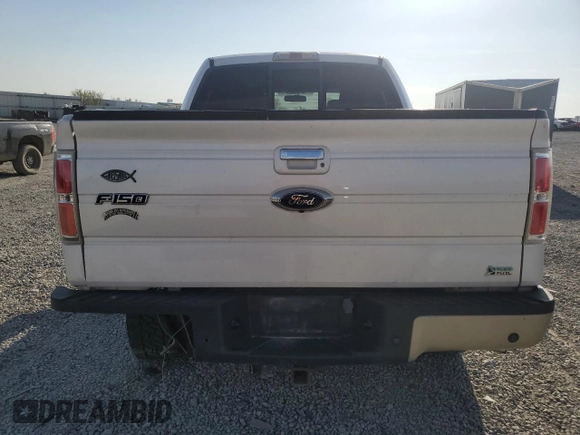 2010 Ford F-150 XL with VIN 1FTFW1EVXAFC09778, listed as a Copart auction lot 53793085 with 234,053 mi miles and Salvage title. Bid and sale history available at DreamBid. Image 6.
