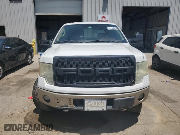2009 Ford F-150 XL with VIN 1FTPW14VX9KA17124, listed as a Copart auction lot 55144375 with 257,748 mi miles and Salvage title. Bid and sale history available at DreamBid. Image 5.
