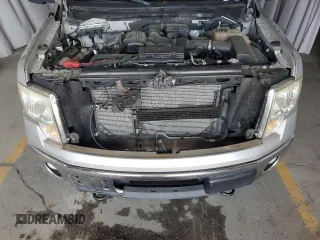 2010 Ford F-150 XL with VIN 1FTFW1EV3AFB69270, listed as a Copart auction lot 66163565 with 176,569 mi miles and Clean title. Bid and sale history available at DreamBid. Image 11.