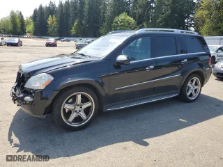 2009 Mercedes-Benz GL-Class 5.5L with VIN 4JGBF86E79A442589, listed as a Copart auction lot 54048445 with 118,221 mi miles and Salvage Title. Bid and sale history available at carsss.com. Image 1.