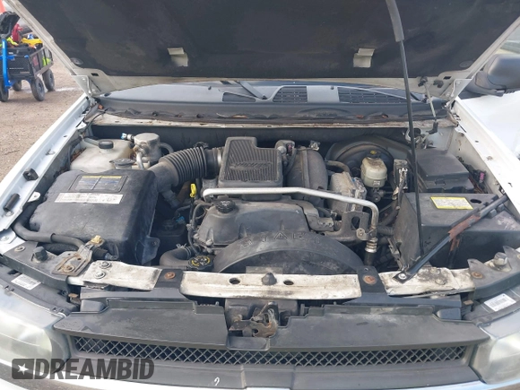2005 Chevrolet TrailBlazer LS with VIN 1GNDS13SX52388713, listed as a IAAI auction lot 42100834 with 153,824 mi miles and . Bid and sale history available at DreamBid. Image 10.
