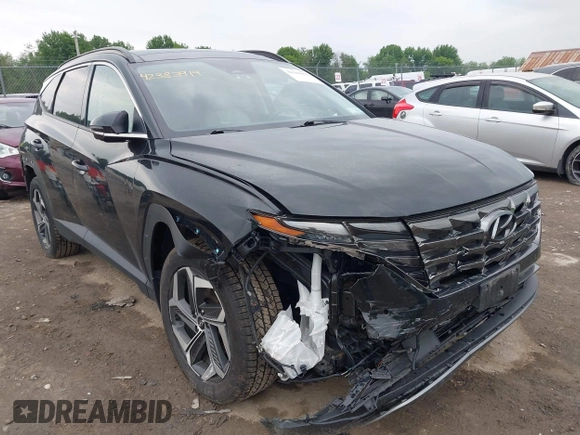 2023 Hyundai Tucson Limited with VIN 5NMJECAE8PH185460, listed as a IAAI auction lot 42383919 with 35,804 mi miles and . Bid and sale history available at DreamBid. Image 6.