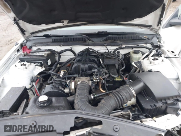 2005 Ford Mustang Deluxe with VIN 1ZVFT80N455211561, listed as a IAAI auction lot 41548177 with Not Provided miles. Bid and sale history available at carsss.com. Image 10.