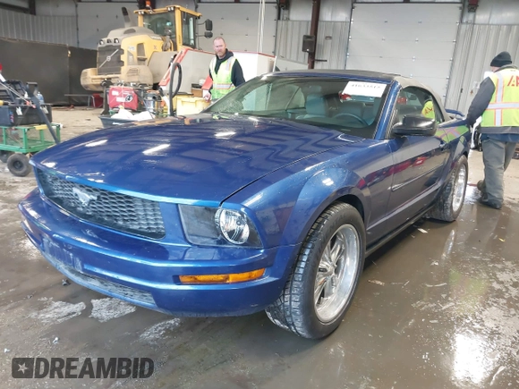 2006 Ford Mustang Standard with VIN 1ZVFT84N365217671, listed as a IAAI auction lot 41633515 with 80,637 mi miles and . Bid and sale history available at DreamBid. Image 18.