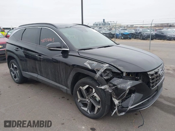 2022 Hyundai Tucson Limited with VIN 5NMJECAE3NH085814, listed as a IAAI auction lot 41058163 with 65,117 mi miles. Bid and sale history available at carsss.com. Image 1.