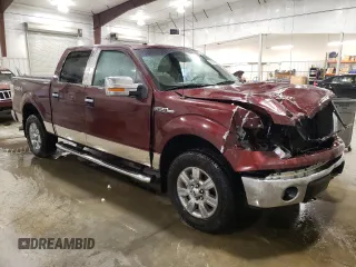 2010 Ford F-150 XL with VIN 1FTFW1EVXAKC19217, listed as a Copart auction lot 49967965 with 178,418 mi miles and Salvage Title. Bid and sale history available at carsss.com. Image 4.