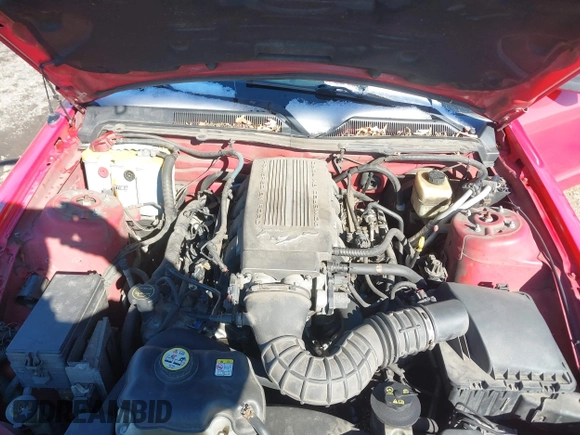 2008 Ford Mustang GT Deluxe with VIN 1ZVHT82HX85123943, listed as a IAAI auction lot 41565843 with 233,125 mi miles and . Bid and sale history available at DreamBid. Image 10.