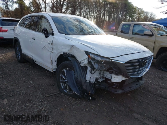 2021 Mazda CX-9 Touring with VIN JM3TCBCY2M0525351, listed as a IAAI auction lot 41022174 with 18,831 mi miles. Bid and sale history available at carsss.com. Image 6.
