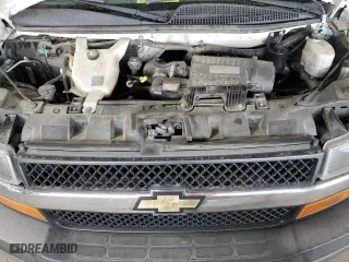 2019 Chevrolet Express Passenger LT with VIN 1GAZGPFG8K1366102, listed as a Copart auction lot 43380245 with 233,267 mi miles and Clean Title. Bid and sale history available at carsss.com. Image 12.