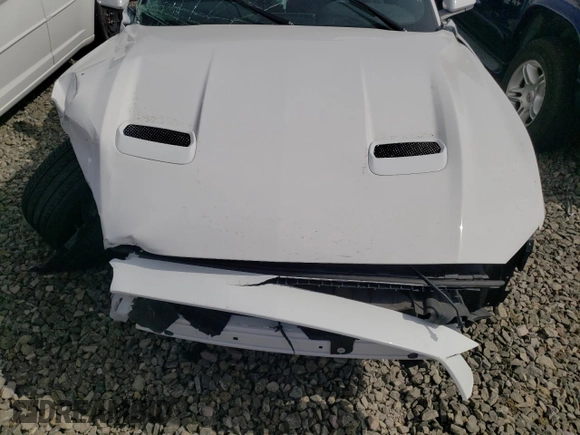 2021 Ford Mustang GT with VIN 1FA6P8CF3M5125111, listed as a Copart auction lot 40455683 with Not Provided miles and . Bid and sale history available at DreamBid. Image 11.