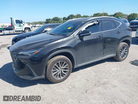 2024 Lexus NX 250 с VIN 2T2ADCAZ0RC010937, выставлен на аукционе IAAI как лот 41479185 с пробегом 19 996 миль миль и . История ставок и продаж доступна на DreamBid. Изображение 2.