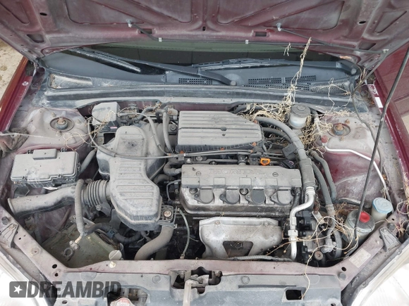 2003 Honda Civic LX with VIN 2HGES16513H609589, listed as a IAAI auction lot 42188876 with Not Provided miles and . Bid and sale history available at DreamBid. Image 10.