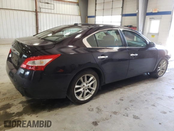 2010 Nissan Maxima SV with VIN 1N4AA5AP1AC823245, listed as a Copart auction lot 63808285 with 199,173 mi miles and Salvage title. Bid and sale history available at DreamBid. Image 3.