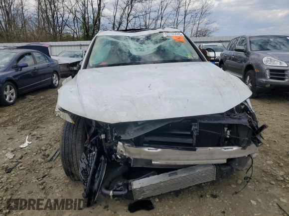 2021 Audi Q5 Prestige with VIN WA1CAAFY7M2097571, listed as a Copart auction lot 53195445 with Not provided miles and Salvage title. Bid and sale history available at DreamBid. Image 5.