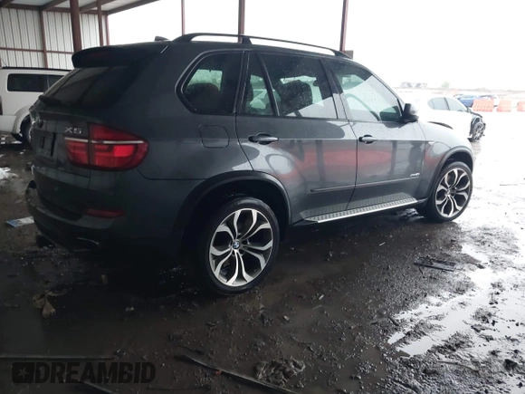 2011 BMW X5 50i with VIN 5UXZV8C59BL419527, listed as a IAAI auction lot 42173425 with 185,802 mi miles and . Bid and sale history available at DreamBid. Image 4.