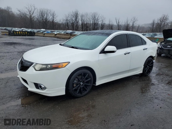 2013 Acura TSX Special Edition with VIN JH4CU2F81DC002837, listed as a Copart auction lot 49134105 with 101,078 mi miles and Salvage title. Bid and sale history available at DreamBid. Image 1.