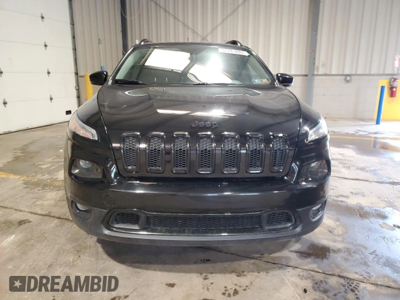2017 Jeep Cherokee Limited with VIN 1C4PJMDS1HW625269, listed as a Copart auction lot 57131095 with 113,063 mi miles and Salvage title. Bid and sale history available at DreamBid. Image 5.