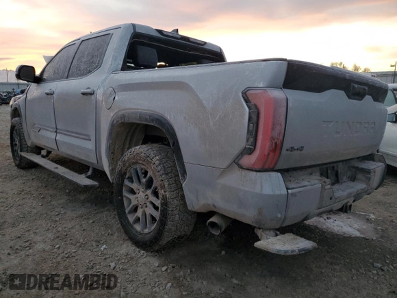 2023 Toyota Tundra Platinum with VIN 5TFNA5DB9PX128945, listed as a Copart auction lot 83960764 with Not provided miles and Salvage title. Bid and sale history available at DreamBid. Image 2.