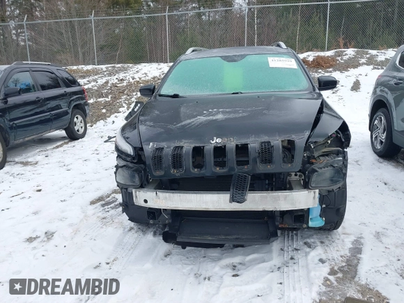 2016 Jeep Cherokee Latitude with VIN 1C4PJMCB9GW130611, listed as a IAAI auction lot 41285929 with 146,179 mi miles and . Bid and sale history available at DreamBid. Image 13.