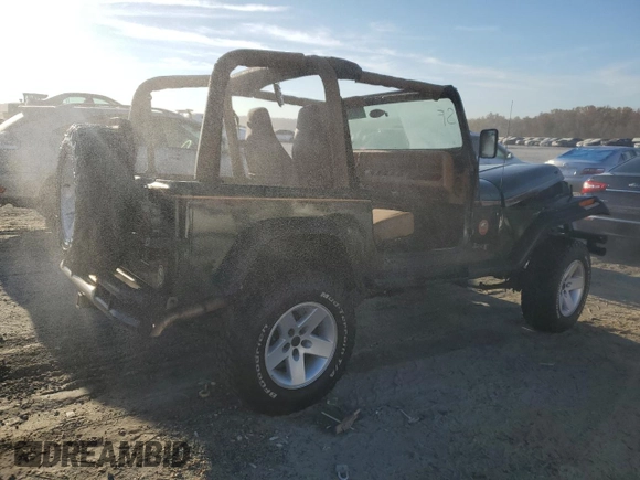 1995 Jeep Wrangler Sahara with VIN 1J4FY49S6SP272569, listed as a Copart auction lot 77839534 with 162,080 mi miles and Salvage Title. Bid and sale history available at carsss.com. Image 3.