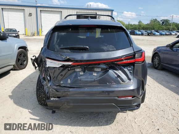 2022 Lexus NX with VIN JTJAKCEZ4N5005555, listed as a Copart auction lot 60156034 with 10,485 mi miles and Salvage Title. Bid and sale history available at carsss.com. Image 6.