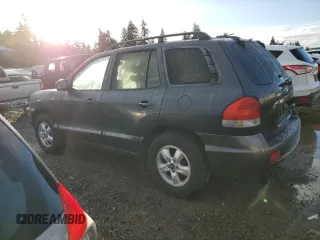 2005 Hyundai Santa Fe GLS with VIN KM8SC73D45U987706, listed as a Copart auction lot 77706174 with 160,646 mi miles and Salvage Title. Bid and sale history available at carsss.com. Image 2.