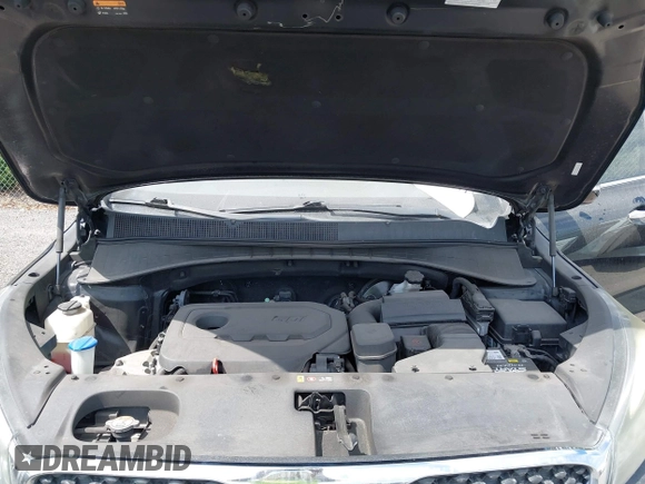 2017 Kia Sorento LX with VIN 5XYPGDA34HG293207, listed as a IAAI auction lot 42108117 with 187,998 mi miles and . Bid and sale history available at DreamBid. Image 10.