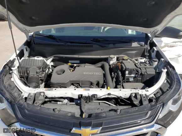 2019 Chevrolet Equinox LS with VIN 3GNAXHEV0KS663641, listed as a Copart auction lot 45032205 with 55,880 mi miles and Salvage Title. Bid and sale history available at carsss.com. Image 12.