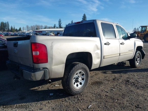 2009 Chevrolet Silverado 1500 LS with VIN 3GCEC13C59G116778, listed as a IAAI auction lot 41686495 with 166,400 mi miles. Bid and sale history available at carsss.com. Image 4.