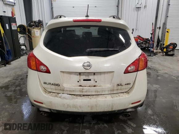 2009 Nissan Murano SL with VIN JN8AZ18W69W138729, listed as a Copart auction lot 45985445 with 210,232 mi miles and Salvage Title. Bid and sale history available at DreamBid. Image 6.