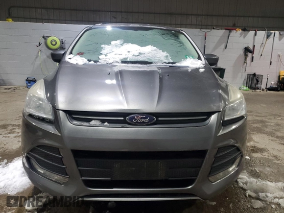 2014 Ford Escape SE with VIN 1FMCU9GX8EUC26579, listed as a Copart auction lot 48147975 with Not Provided miles and Clean Title. Bid and sale history available at DreamBid. Image 5.