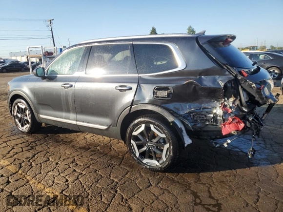 2024 Kia Telluride S with VIN 5XYP6DGC4RG455493, listed as a Copart auction lot 70184074 with 4,067 mi miles and Salvage title. Bid and sale history available at DreamBid. Image 2.