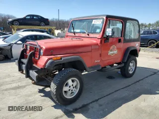 1994 Jeep Wrangler S with VIN 1J4FY19P1RP473249, listed as a Copart auction lot 48751975 with 102,666 mi miles and Clean Title. Bid and sale history available at carsss.com. Image 1.